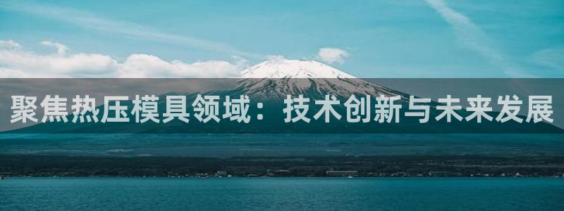 易倍申的包装规格：聚焦热压模具领域：技术创新与未来发展