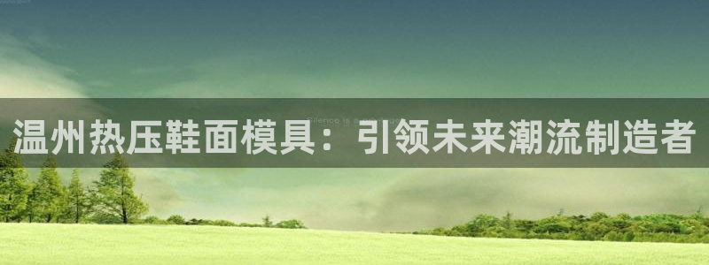 emc易倍是黑台子吗：温州热压鞋面模具：引领未来潮流制造