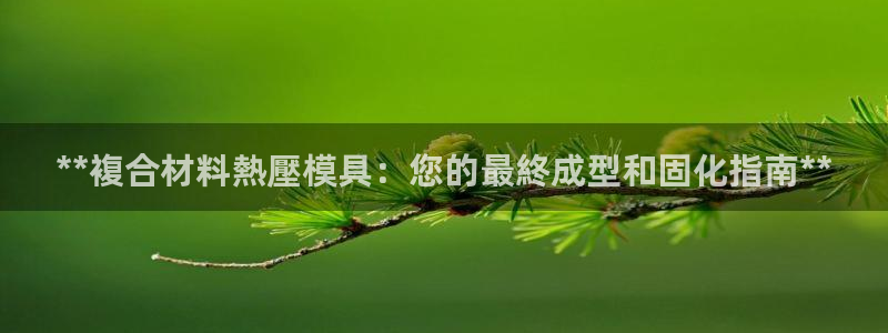 易倍申安理申区别：**複合材料熱壓模具：您的最終成型和固