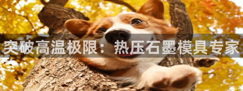 易倍单词登录网站：突破高温极限：热压石墨模具专家