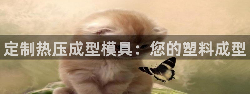 易倍达科技有限公司官网