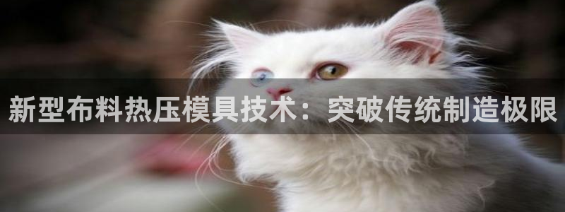 易倍申上市时间：新型布料热压模具技术：突破传统制造极限