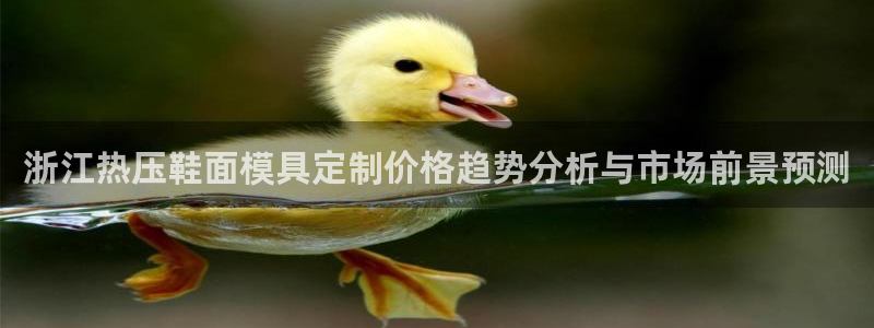 易倍emc网址网页版本登陆：浙江热压鞋面模具定制价格趋势