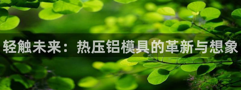 易倍单词官网下载：轻触未来：热压铝模具的革新与想象