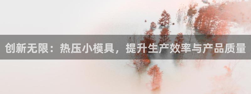 易倍网络技术有限公司官网