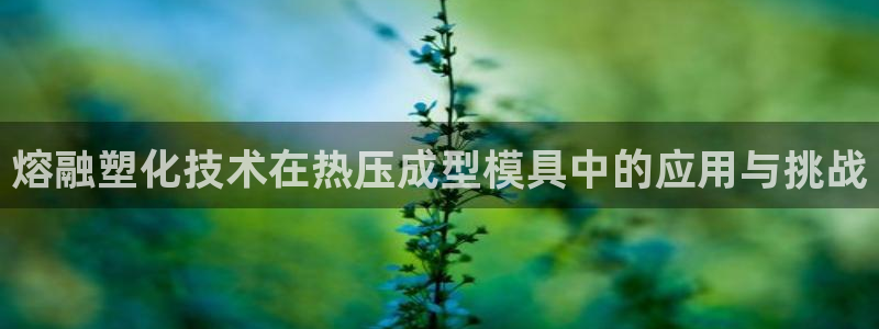EMC倍频系数：熔融塑化技术在热压成型模具中的应用与挑战