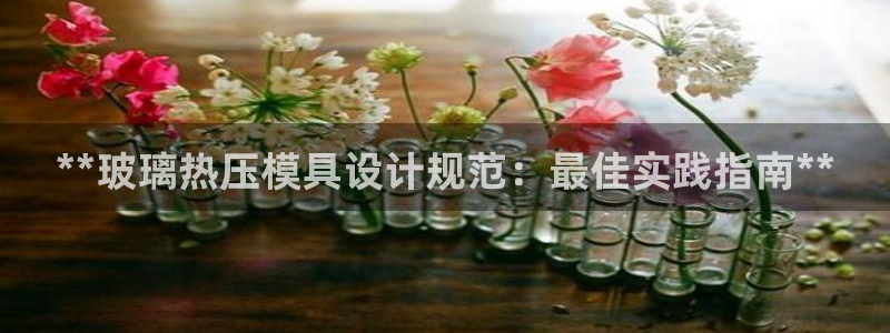 易倍网络技术有限公司怎么样