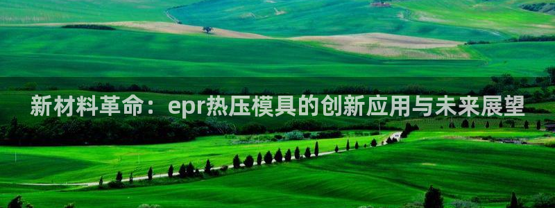 易倍申多少钱：新材料革命：epr热压模具的创新应用与未来