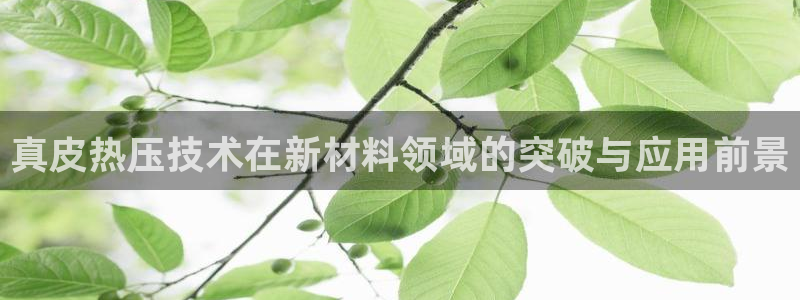 EMC倍频是什么意思：真皮热压技术在新材料领域的突破与应