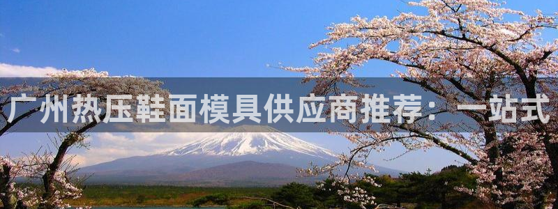 易倍EMC网址：广州热压鞋面模具供应商推荐：一站式