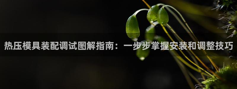 emc易倍app官网下载