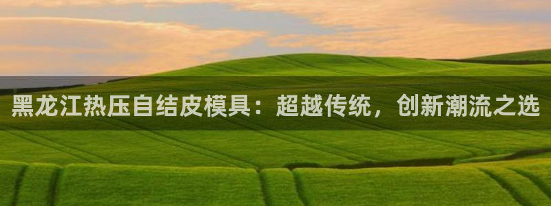 易倍app官网下载：黑龙江热压自结皮模具：超越传统，创新