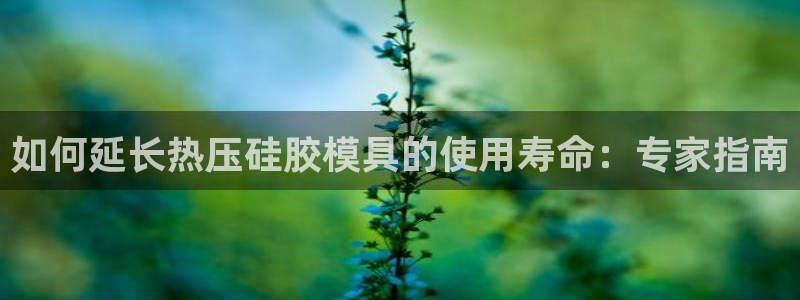 低频的emc用什么滤波：如何延长热压硅胶模具的使用寿命：