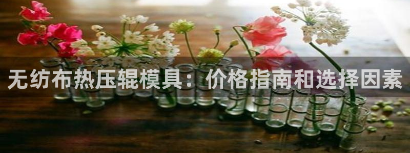 易倍网页版登录：无纺布热压辊模具：价格指南和选择因素
