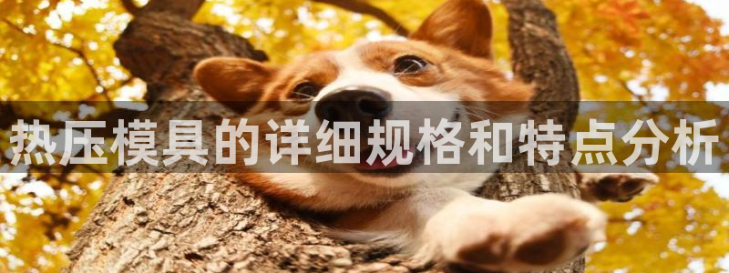 emcapp下载普通下载：热压模具的详细规格和特点分析