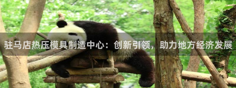 易倍达科技有限公司招聘:驻马店热压模具制造中心:创新引领