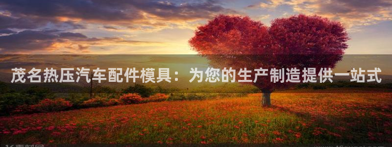 emc易倍登录：茂名热压汽车配件模具：为您的生产制造提供