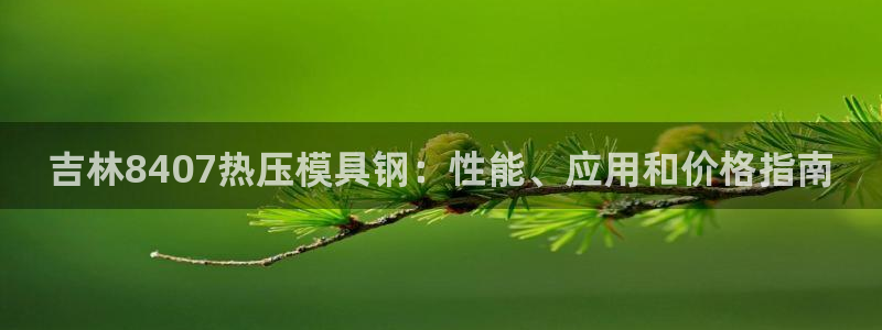 易倍网络技术有限公司招聘：吉林8407热压模具钢：性能、