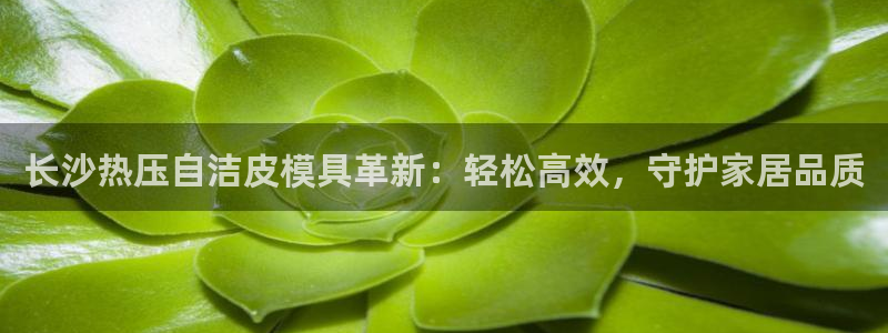 emc易倍出空款：长沙热压自洁皮模具革新：轻松高效，守护