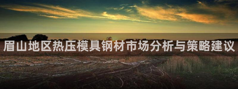 易倍全站：眉山地区热压模具钢材市场分析与策略建议