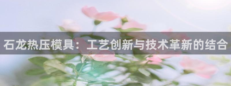 易倍纤官网：石龙热压模具：工艺创新与技术革新的结合