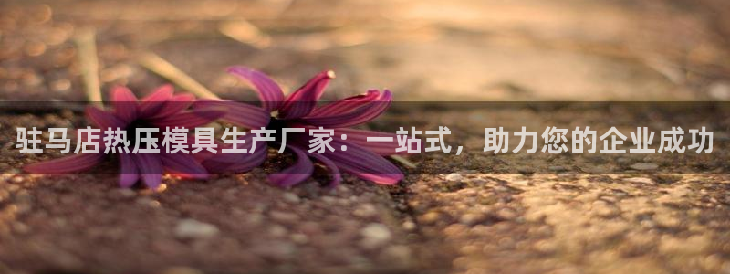易倍下载地址：驻马店热压模具生产厂家：一站式，助力您的企