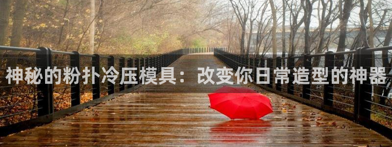 EMC倍频原理：神秘的粉扑冷压模具：改变你日常造型的神器