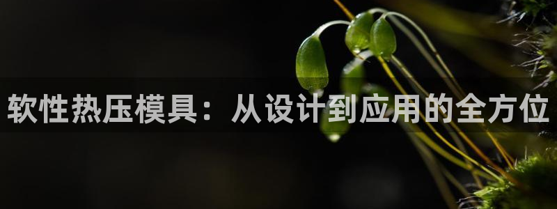 emc全站下载:软性热压模具:从设计到应用的全方位