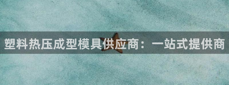 易倍单词软件：塑料热压成型模具供应商：一站式提供商