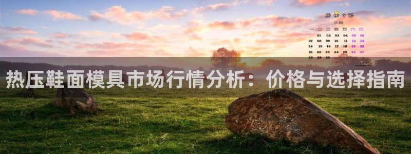 易倍单词登录网站：热压鞋面模具市场行情分析：价格与选择指