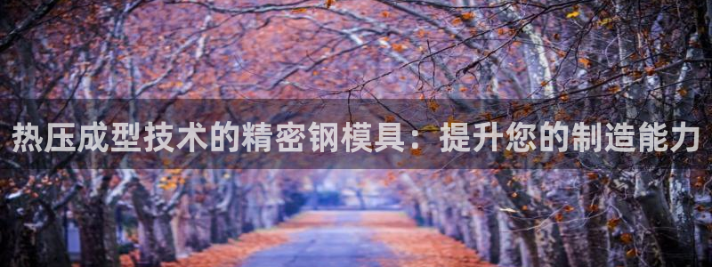 易倍申价格是多少：热压成型技术的精密钢模具：提升您的制造